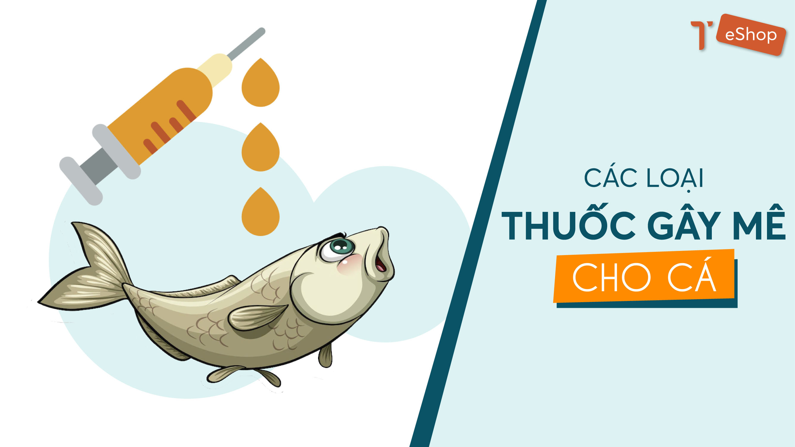 thuốc mê thủy sản